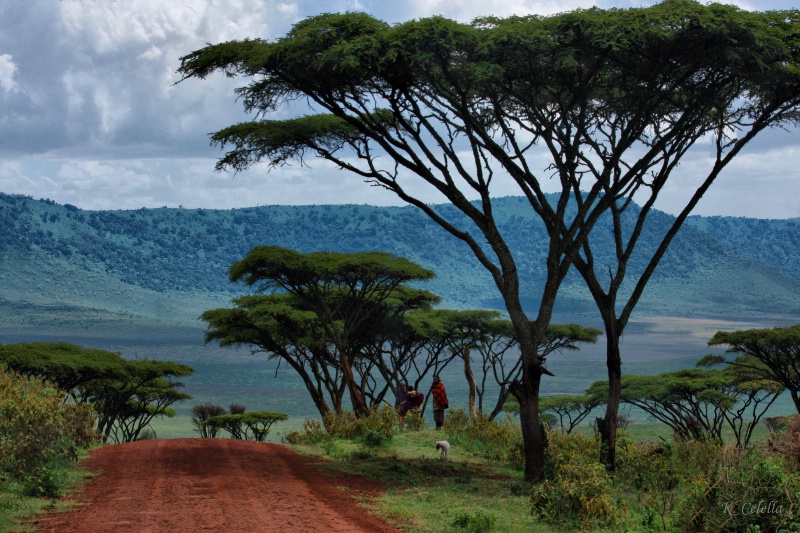 Land of the Maasai People