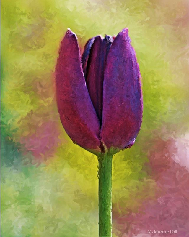 Impressionist Painting Purple Tulip