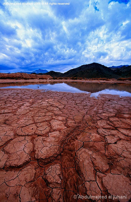 Lines to reflection