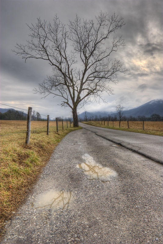 Winter Reflections - Cades Cove 1-24-09