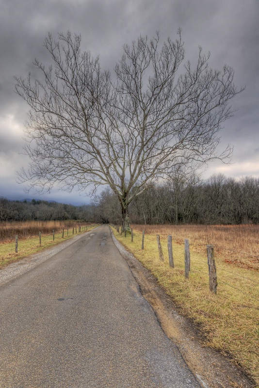 Cades Cove 1-24-09 - ID: 8021171 © Robert A. Burns