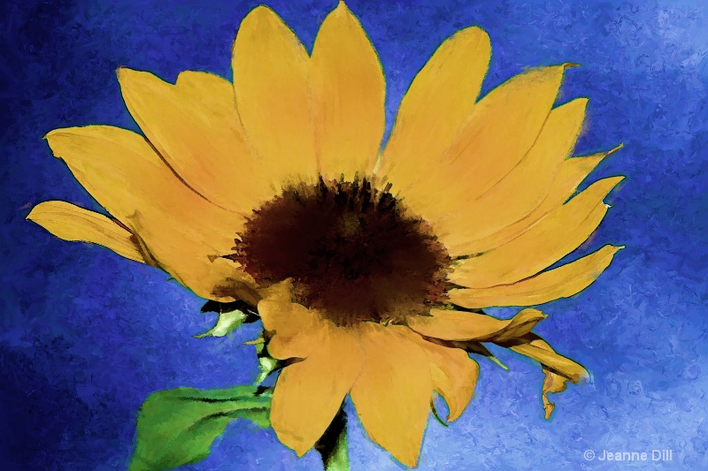 Challis Sunflower Imp Pastel