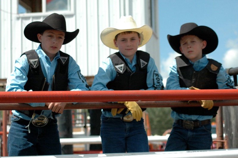 Young cowboys NBZ