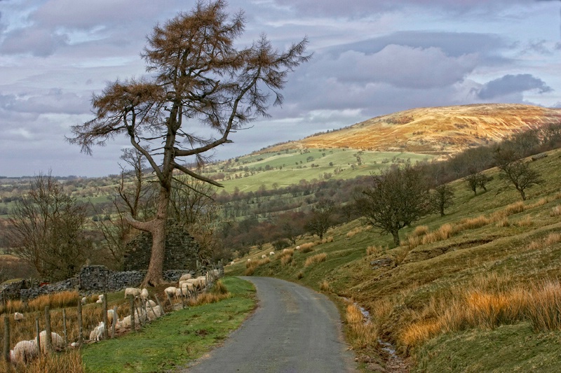 Brecon Beacons