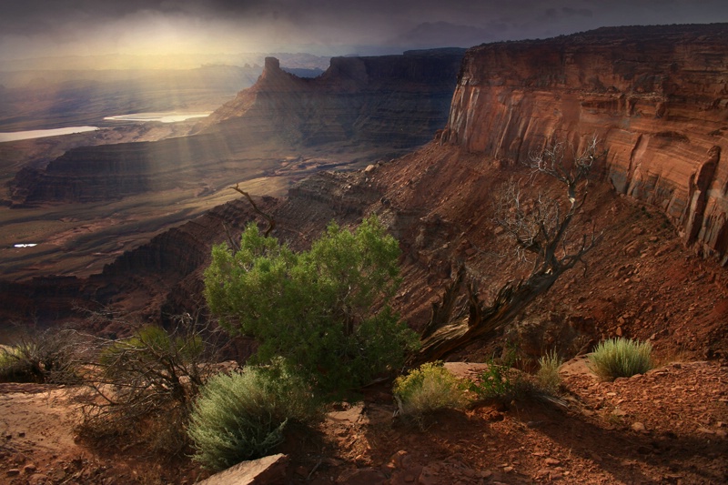 Dead Horse Point, Utah Kodak POTD 26th April 2009