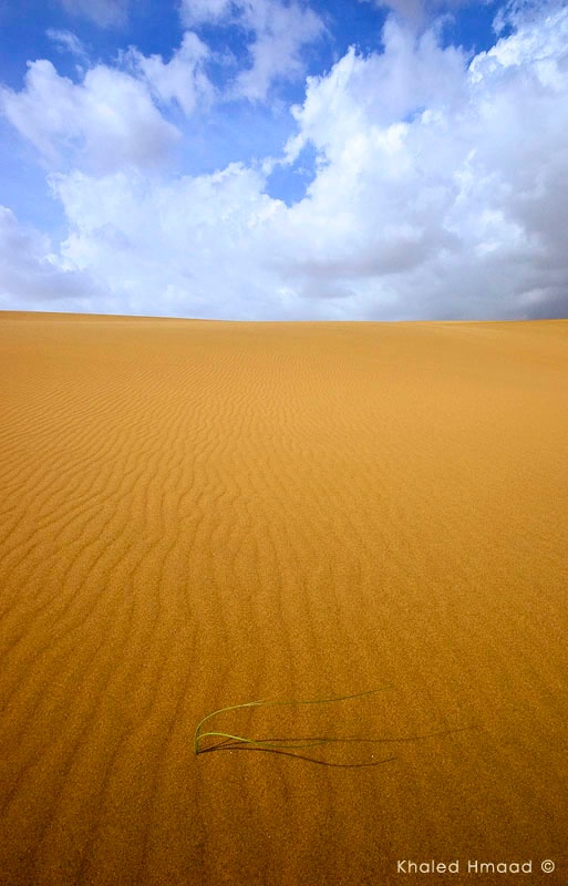 Smoothness Sahara