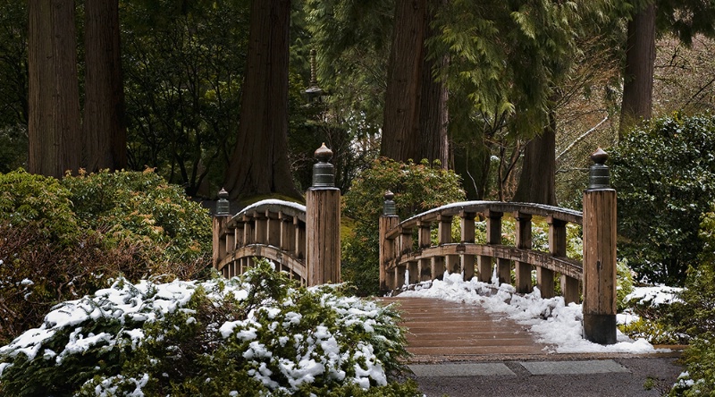 wintry bridge