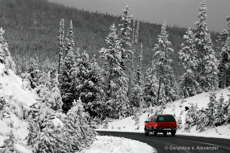 Winter Traveler