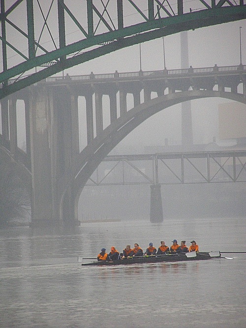 Foggy Oarsmen