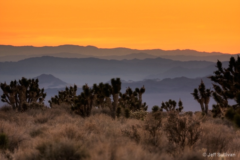 Sunset, Mojave National Preserve