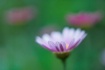 "Garden paste...