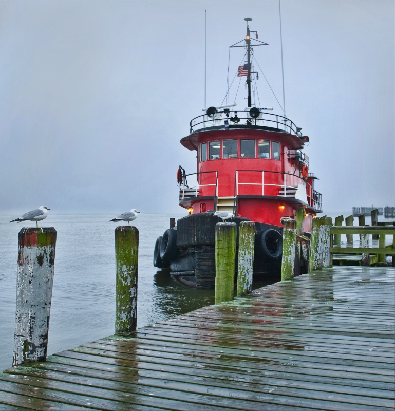 Red tug on a wet day