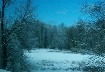 Train Vista 2
