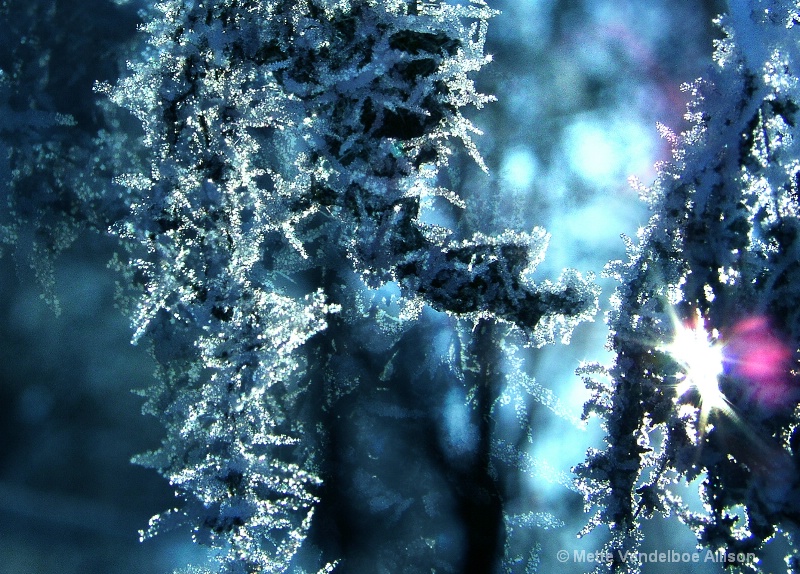 img7