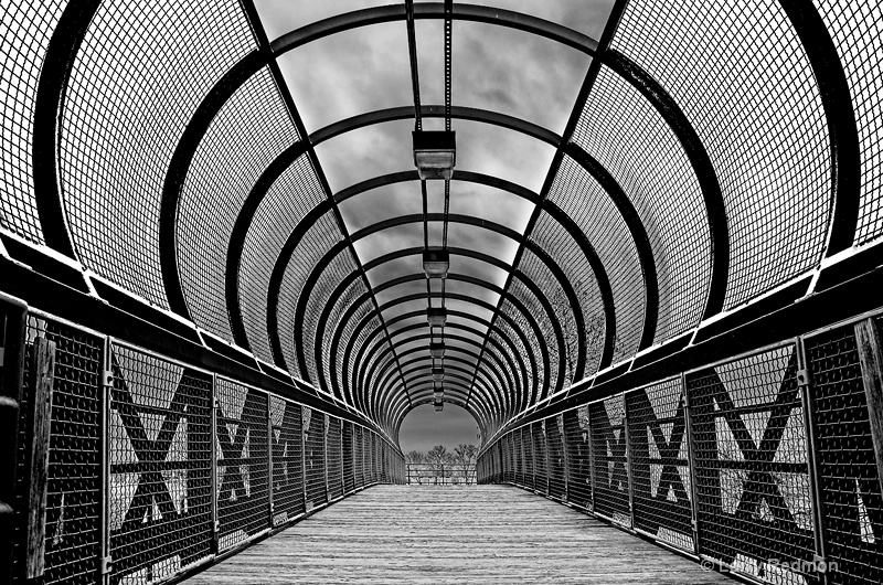 Pedestrian Bridge