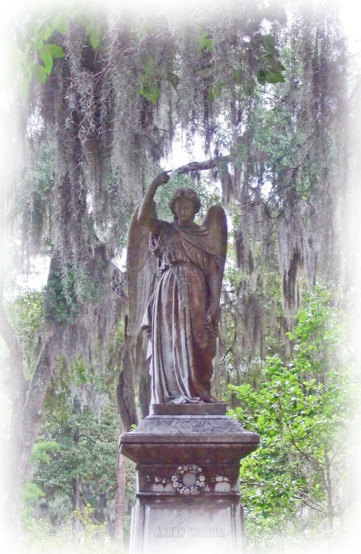 Bonaventure Cemetery Angel 1 - ID: 8058499 © John M. Hassler
