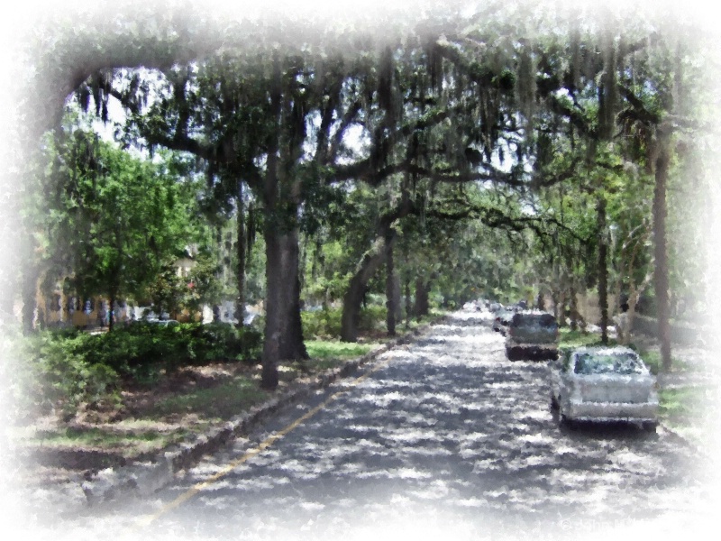 Savannah Street with spanish moss - ID: 8058532 © John M. Hassler