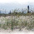 © John M. Hassler PhotoID # 8058540: Tybee Island Lighthouse with grass