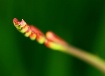 Spring comes slow...