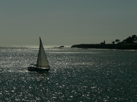 Sailing In Shimmering Waters