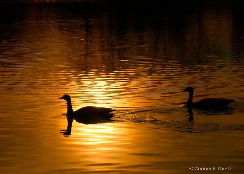 On Golden Pond