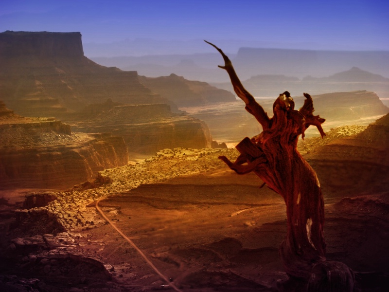 Valley of the Gods ~ White Rim Road, Canyonlands