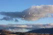 Fly United..........
