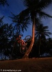 Randy - tree ride