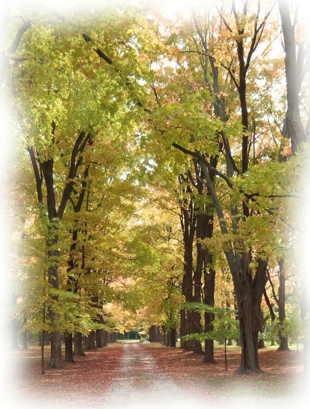 Autumn in the Lane (V) - ID: 8070634 © John M. Hassler