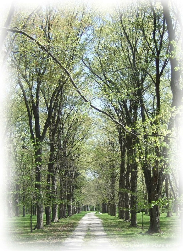 Spring in the Lane (V) - ID: 8070642 © John M. Hassler