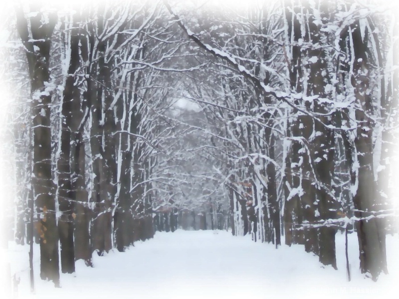 Winter in the Lane (H) - ID: 8070643 © John M. Hassler