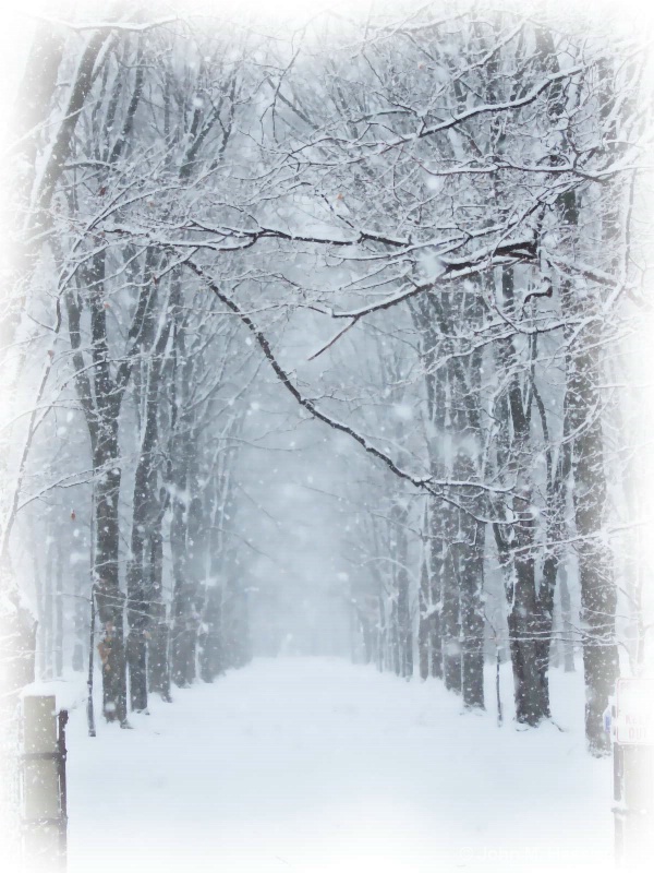 Winter in the Lane (V) - ID: 8070650 © John M. Hassler