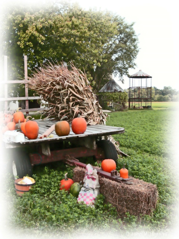 Pumpkins at the Farm - ID: 8076302 © John M. Hassler