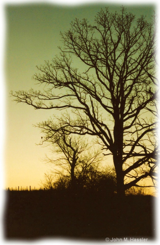 Silhouette at Dawn - ID: 8076421 © John M. Hassler