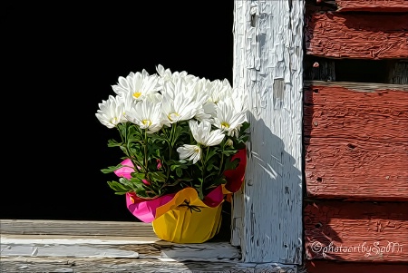 Barn window