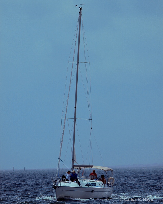 Sailing Takes Me Away.......... - ID: 8085495 © Carlos R. Naya
