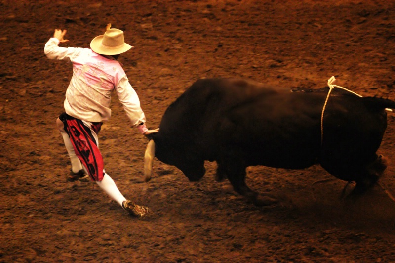 A Bullfighter's day at the office - ID: 8087148 © Mike D. Perez