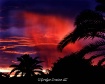 Arizona Morning R...