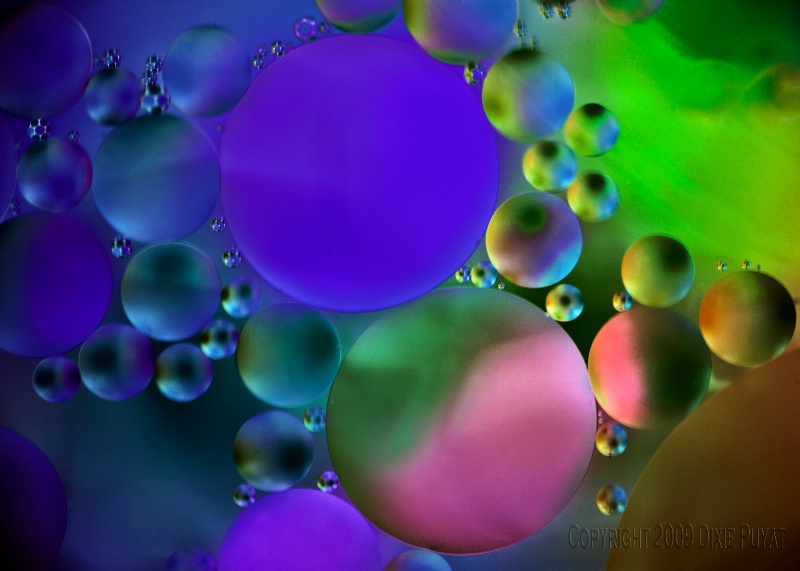 Oil and water bubbles