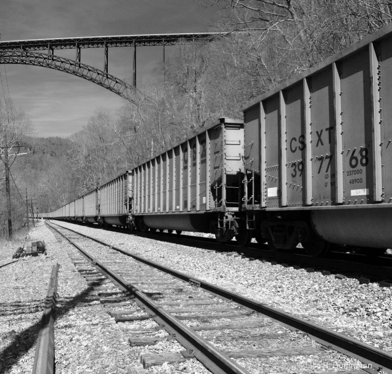 Along the Tracks - ID: 8090897 © Lisa R. Buffington