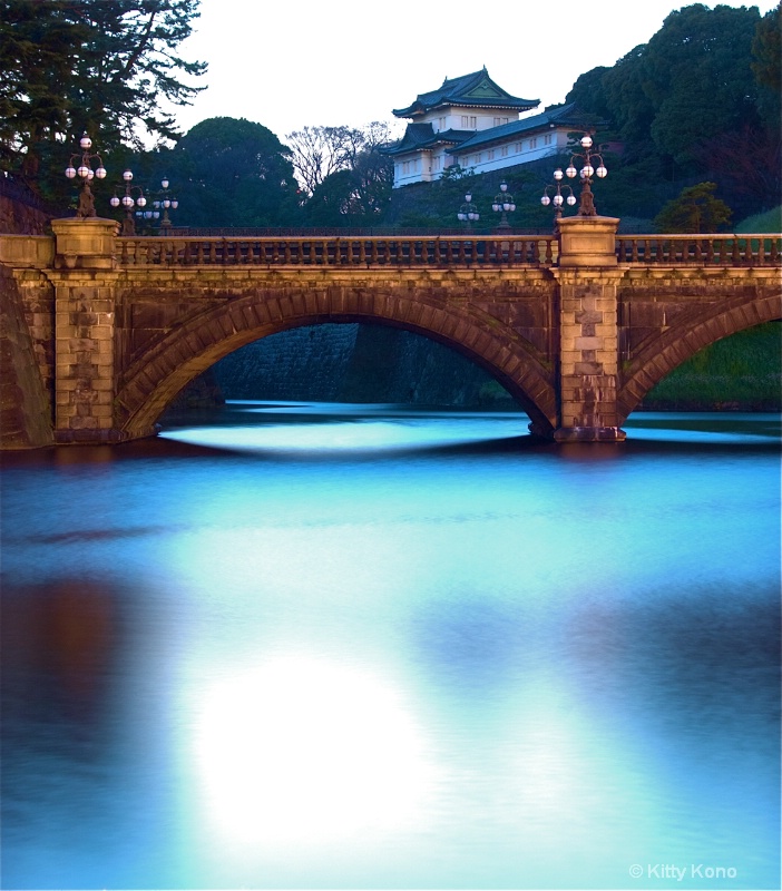 Shimmering Mote at the Imperial Palace - ID: 8095597 © Kitty R. Kono