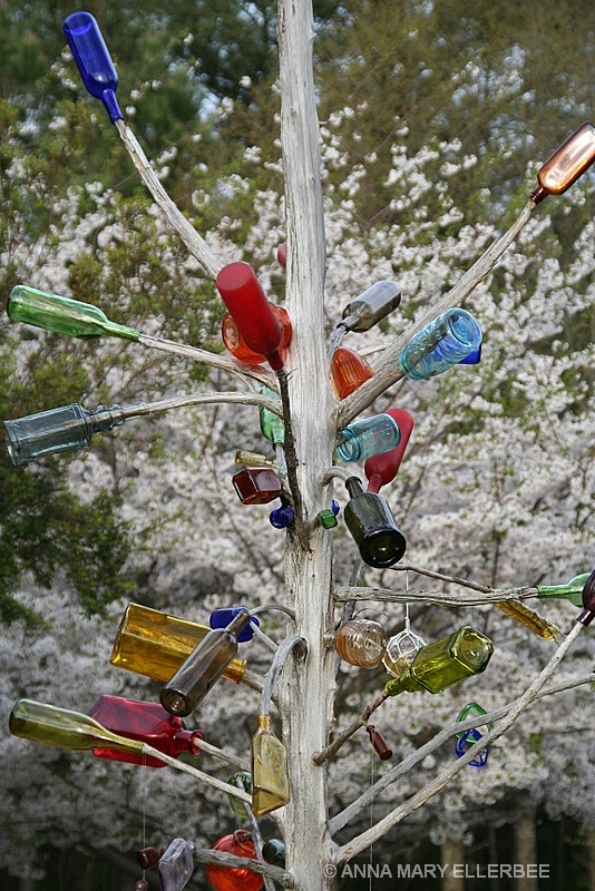 Bottle Tree in Spring