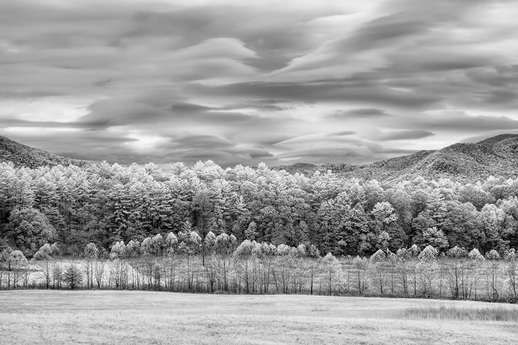 Cades cove