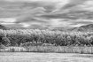 Cades cove