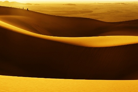 On Golden Dunes