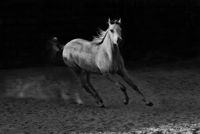 Accelerating Horse