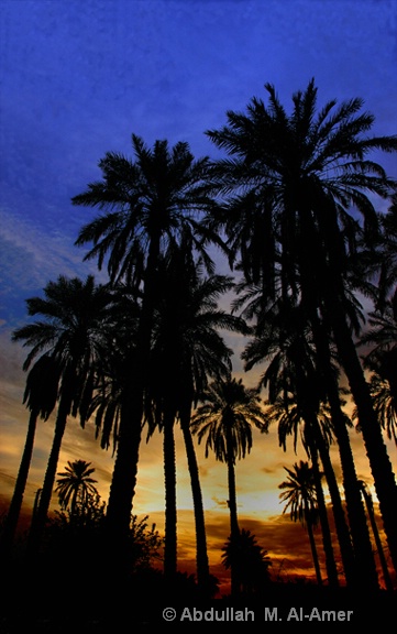 High Palm Meeting at Sunset