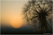 Good night...