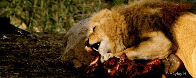 Lunch Time
