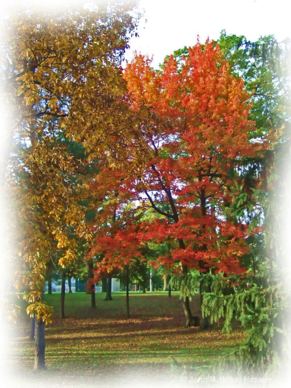 Fall in Fowler Park - ID: 8112465 © John M. Hassler
